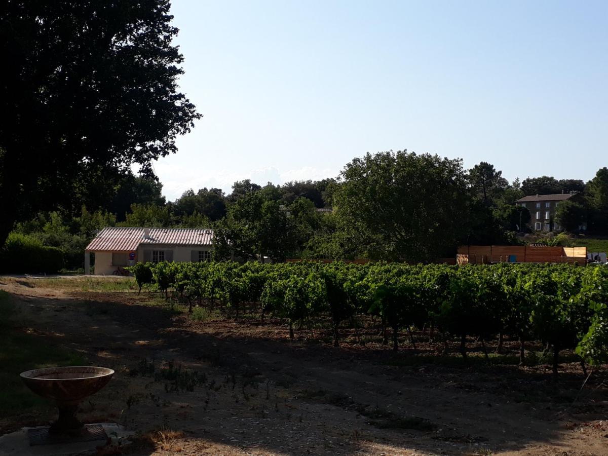 La Petite Maison Dans Les Vignes Chamaret Exterior photo