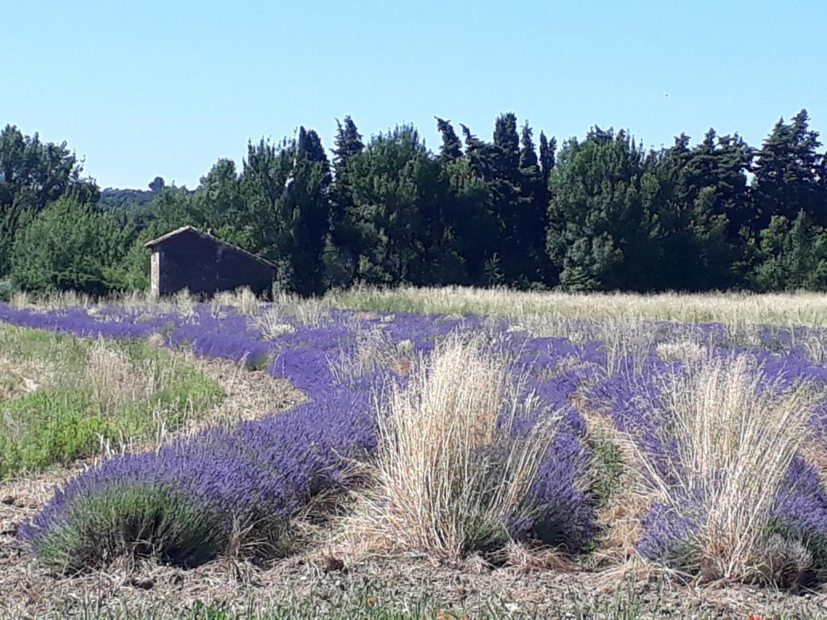 La Petite Maison Dans Les Vignes Chamaret Exterior photo